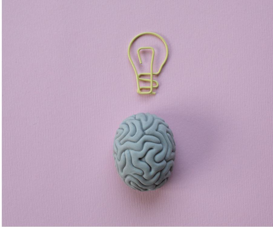 brain management voor multipotentials